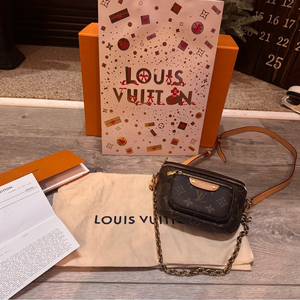Louis Vuitton Mini Bum Bag